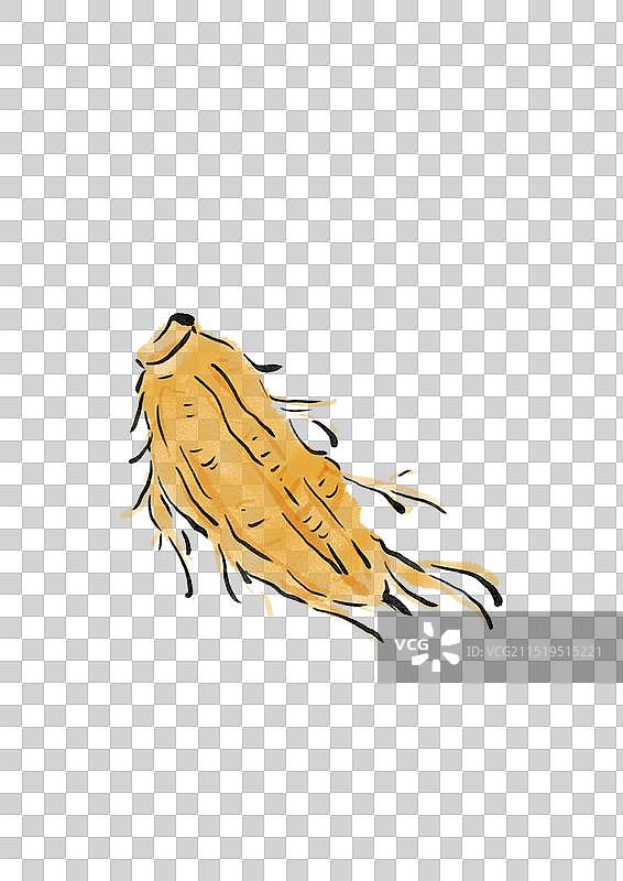 国潮风中医草药插画元素-桔梗图片素材