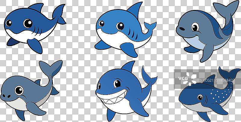 鲸鲨扁平风动物设计图片素材