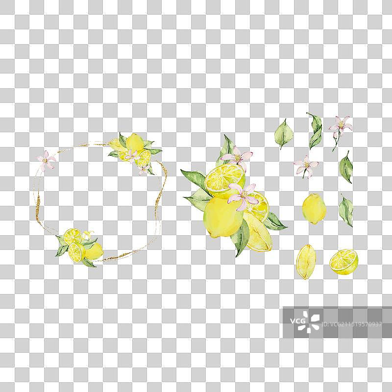 带水彩柠檬叶的金色框架图片素材