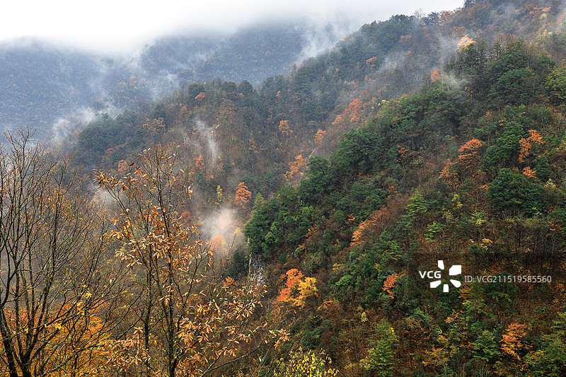 平利县正阳镇之秋色斑斓图片素材