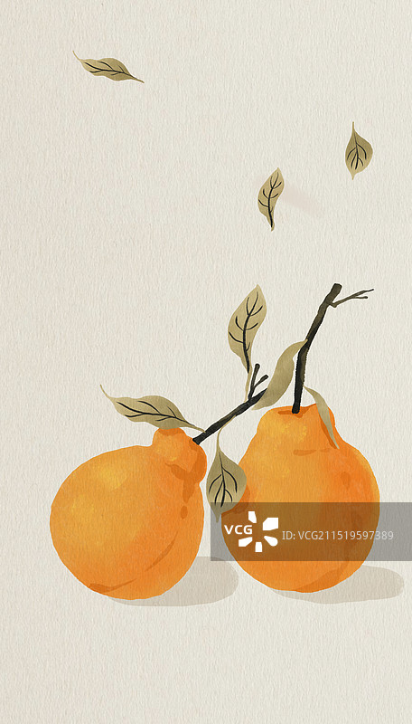 粑粑柑丑橘橙子橘子水彩插画图片素材