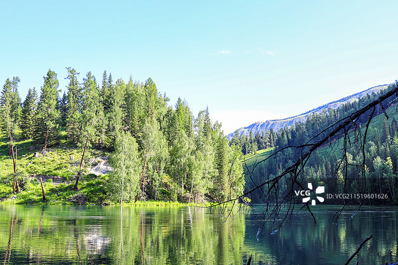 泰加林廊道图片素材