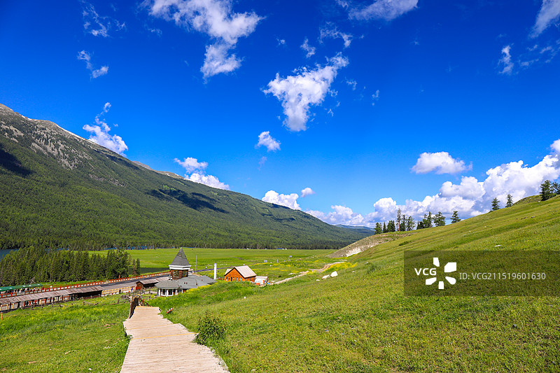 泰加林廊道图片素材