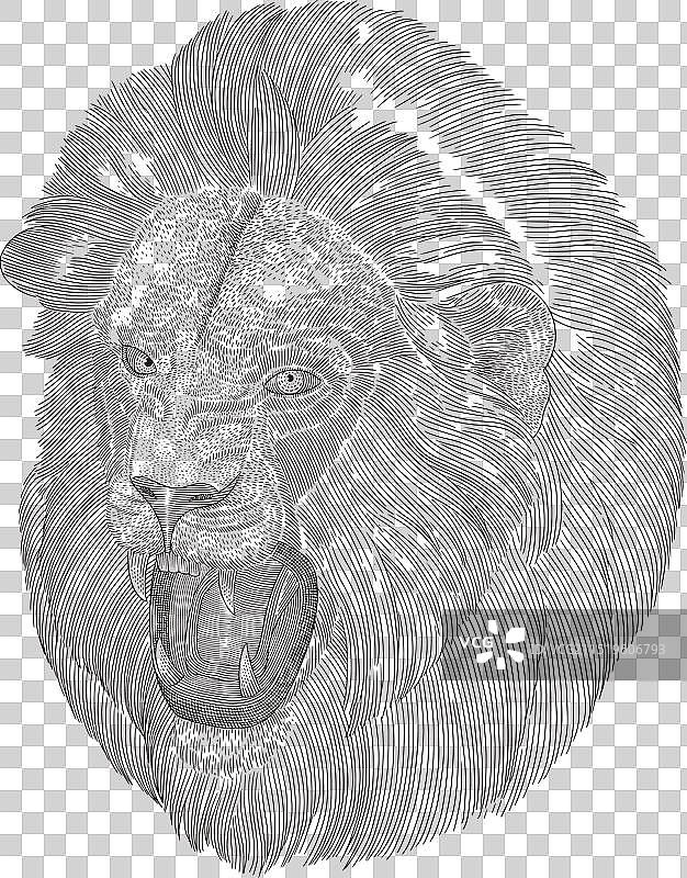 具攻击性的狮子头复古雕刻图片素材