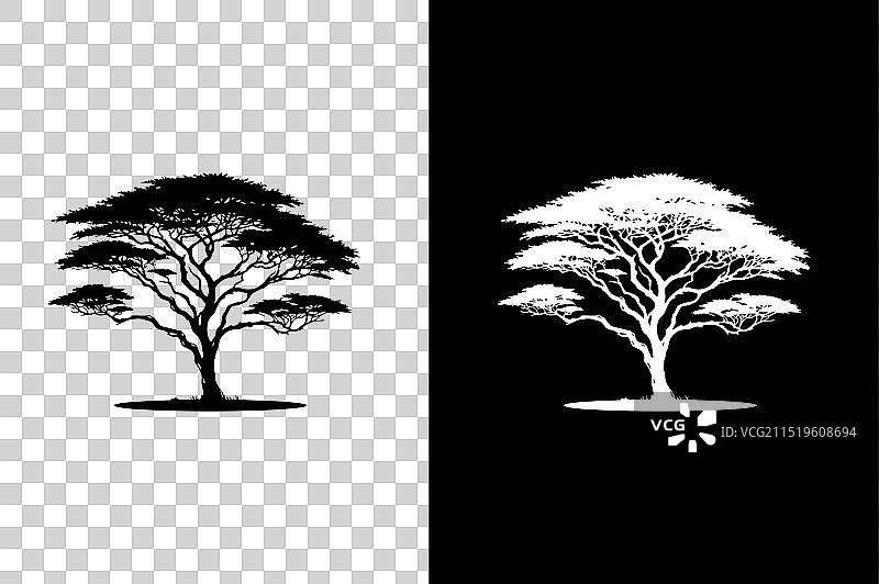 扁平风格金合欢树图标图片素材