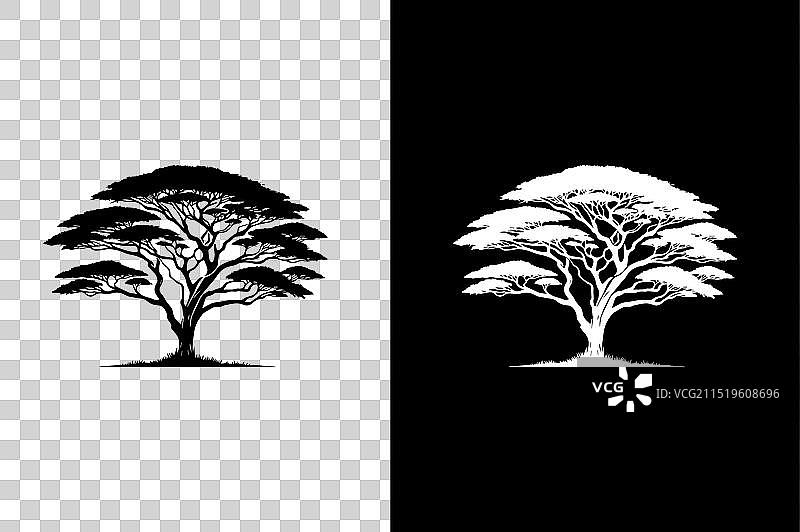 扁平风格金合欢树图标图片素材