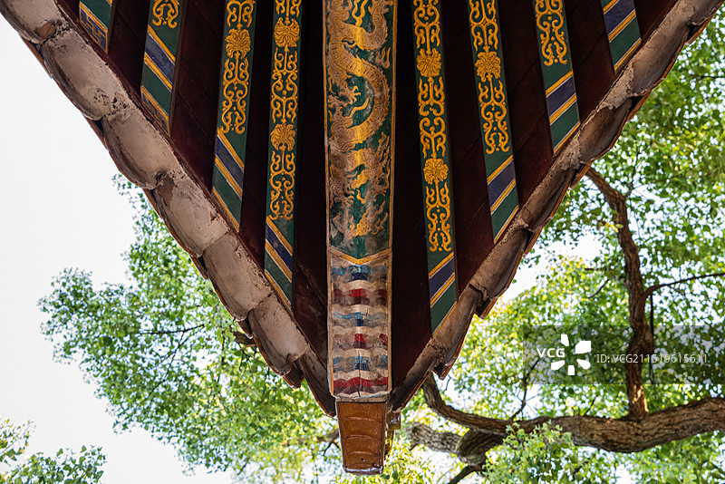 浙江舟山普陀山慧济禅寺的屋顶与脊兽图片素材