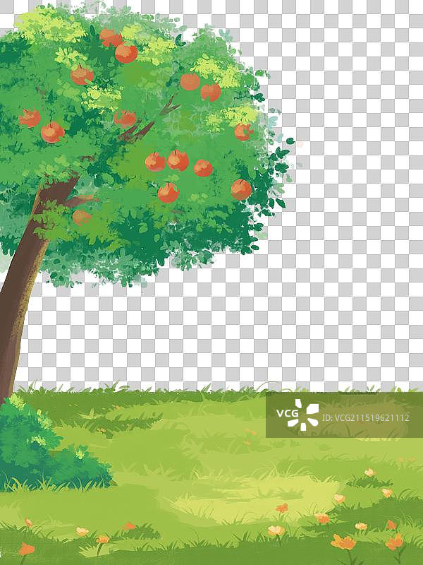 苹果树和草地图片素材