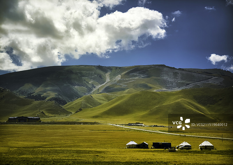 塞里木湖金色草原图片素材