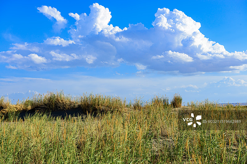 荒原草地蓝天白云图片素材