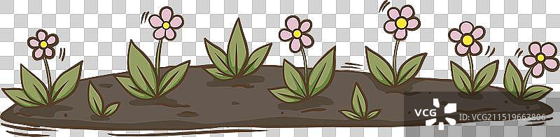 土墩边界上的粉色花卉植物图片素材