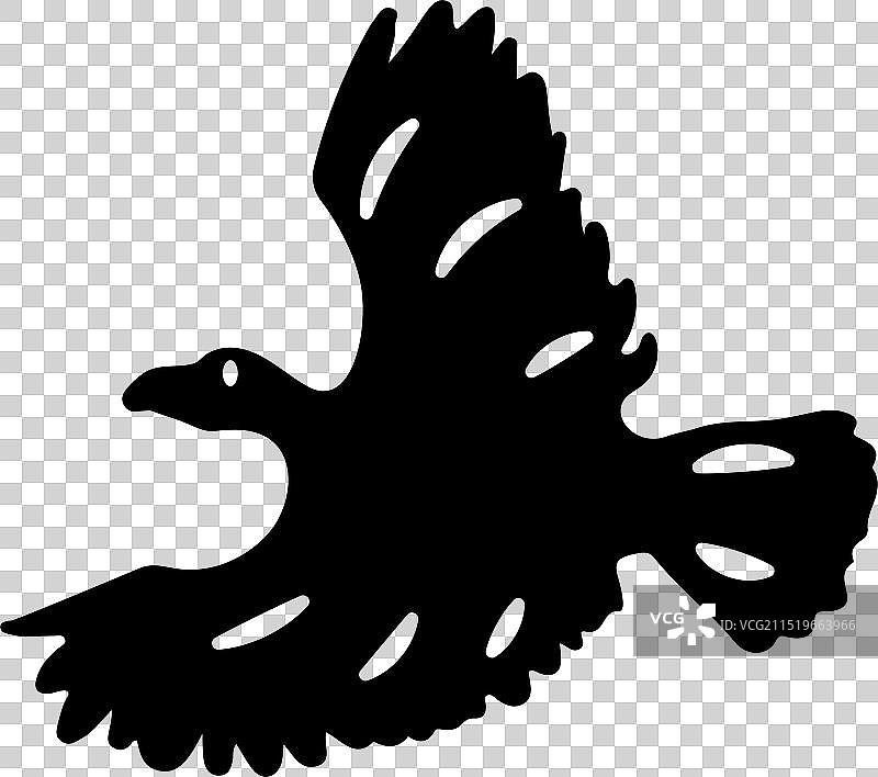 安第斯神鹰图片素材