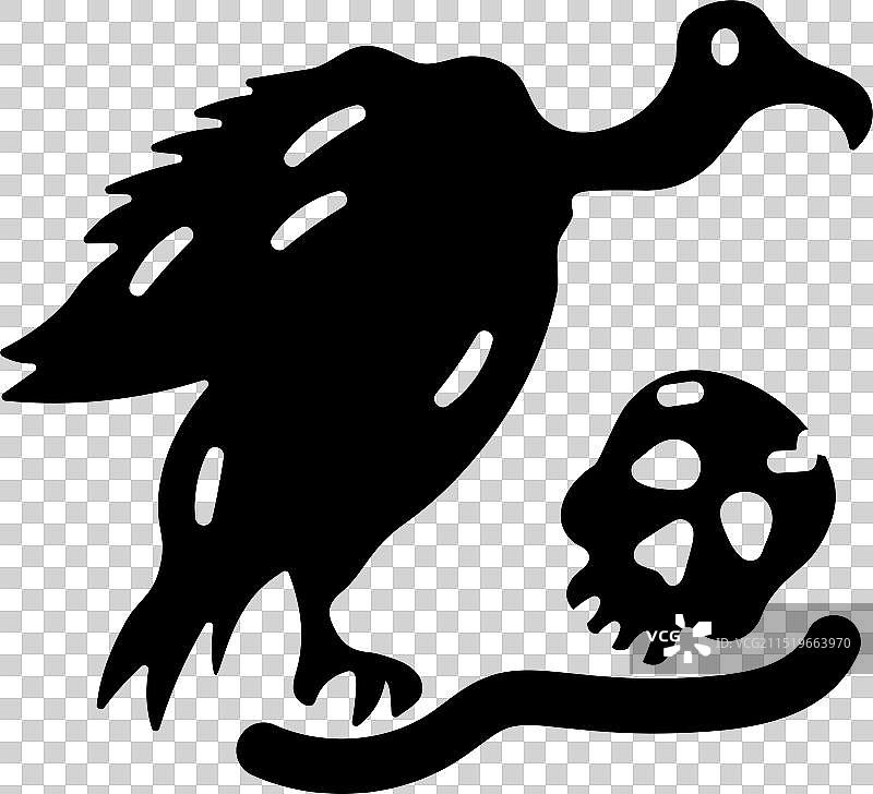 细嘴秃鹫图片素材