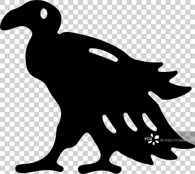 黑美洲鹫图片素材