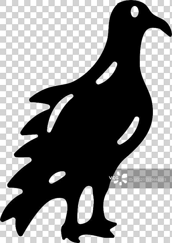 美洲鹫科图片素材