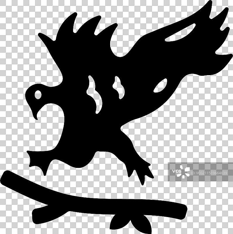 Buteo属鸟类图片素材