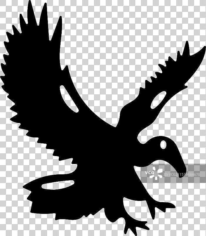 细嘴秃鹫图片素材