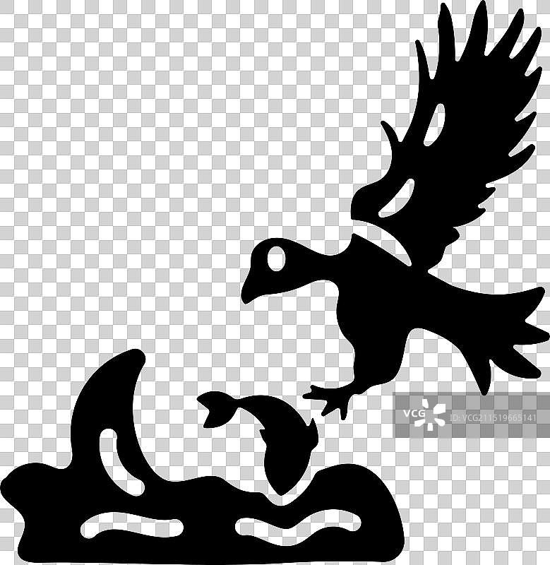 安第斯神鹰图片素材