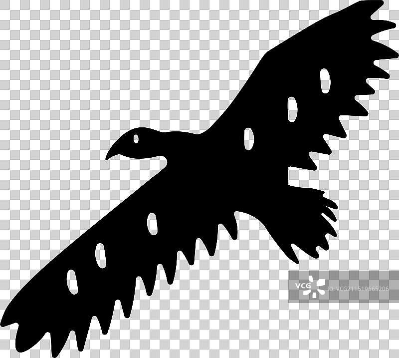 格里芬鸟图片素材