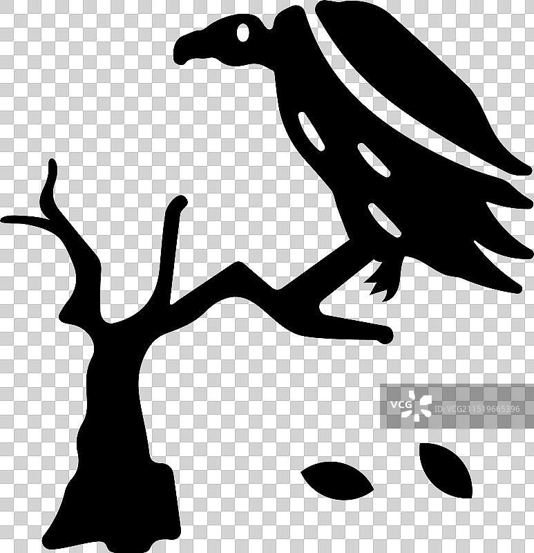 细嘴秃鹫图片素材