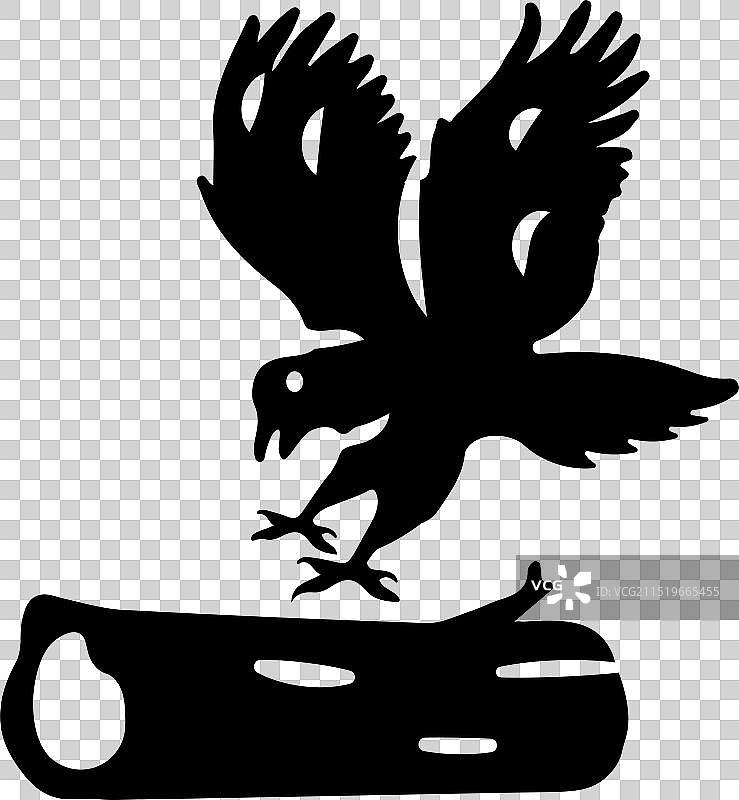 黑美洲鹫图片素材