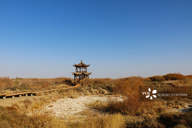 晴朗秋季甘肃酒泉金塔胡杨林公园内沙漠景观图片素材