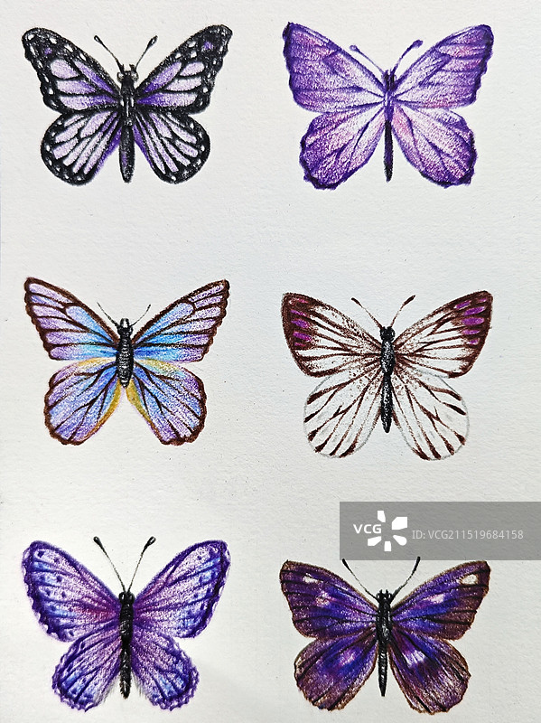 蝴蝶元素图片素材