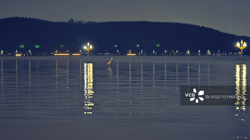 云龙湖夜景图片素材