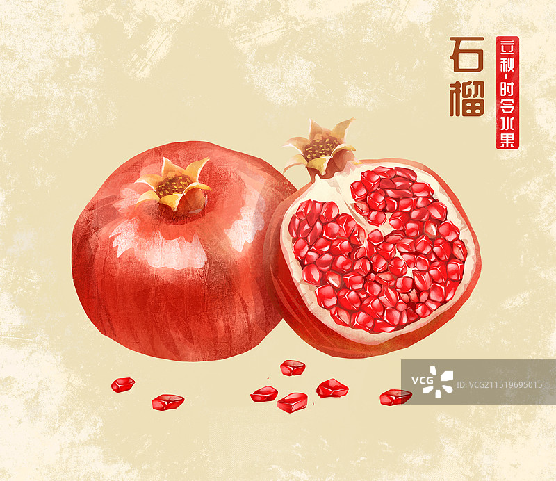 二十四节气之秋分 时令水果 石榴插画海报模版图片素材
