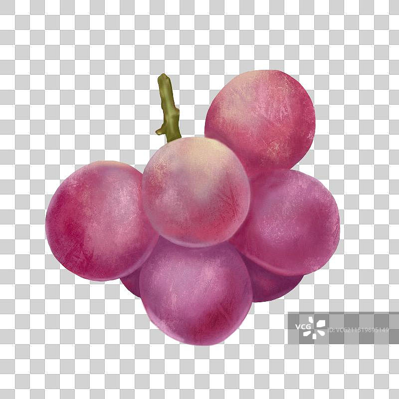 水果写实插画图片素材