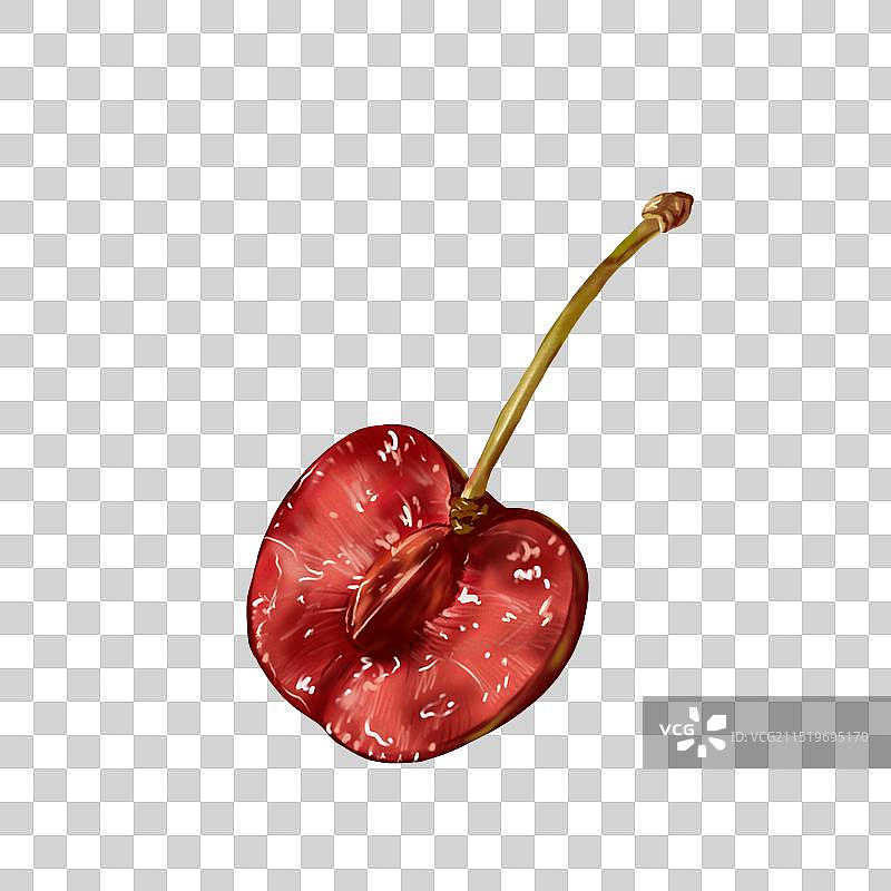 水果写实插画图片素材