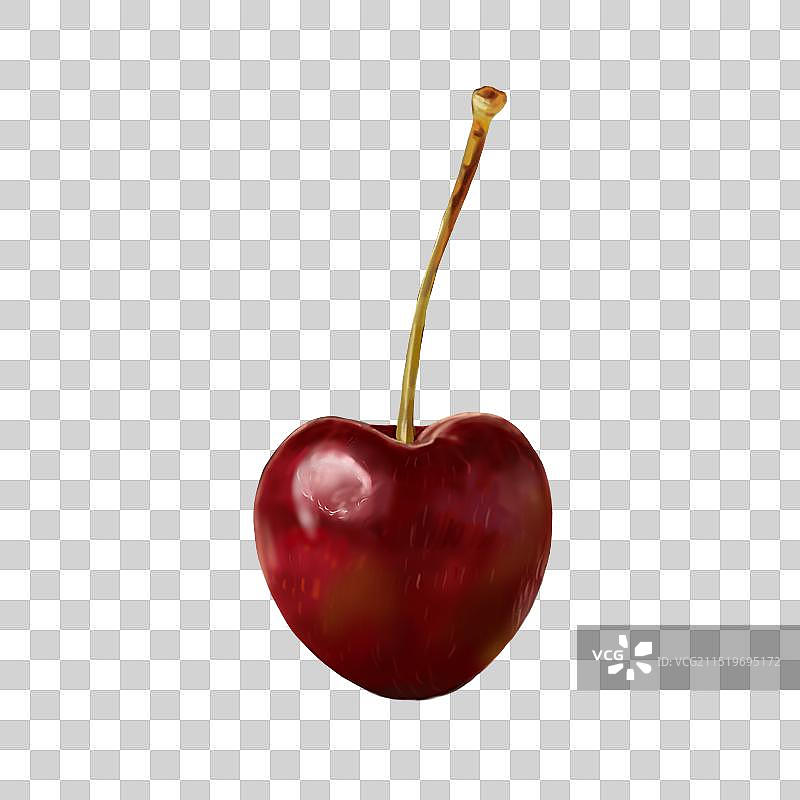 水果写实插画图片素材