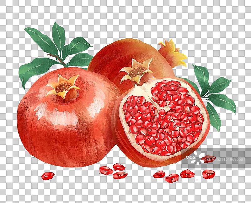 秋分时令水果之成熟的石榴 果插画元素图片素材