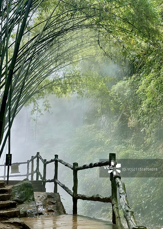 川西竹海图片素材