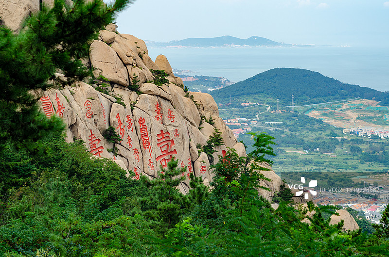 青岛崂山仰口景区，刻有许多巨大“寿”字的寿字峰，松树茂密图片素材