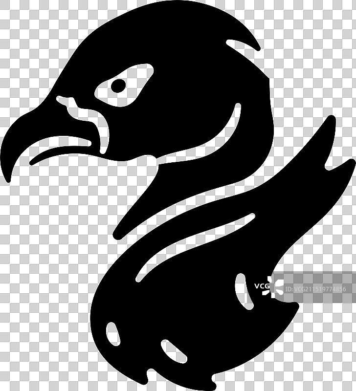 美洲鹫科图片素材