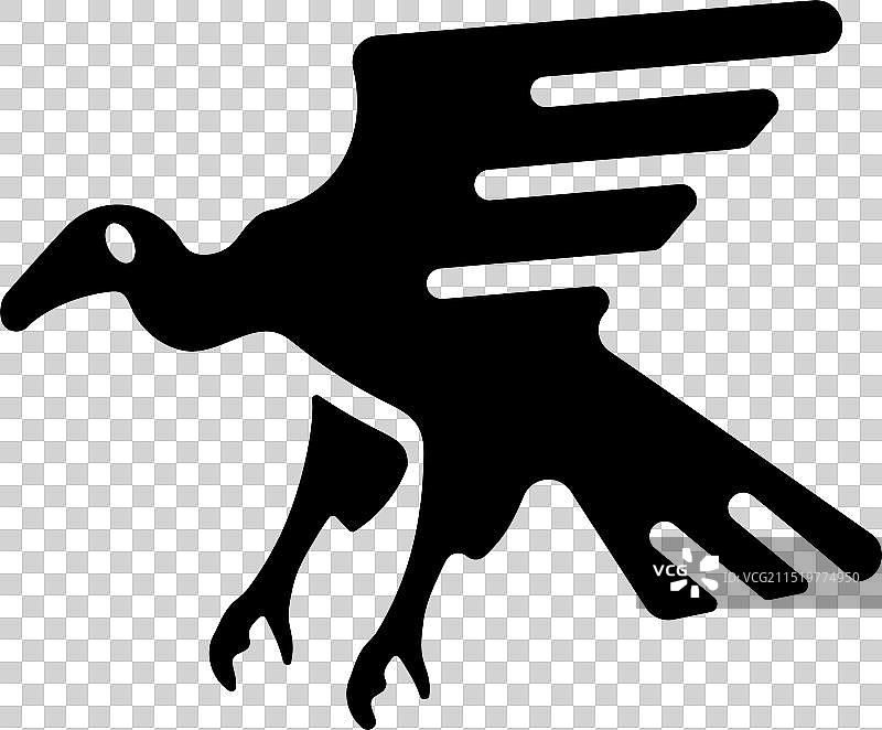 印度秃鹫图片素材