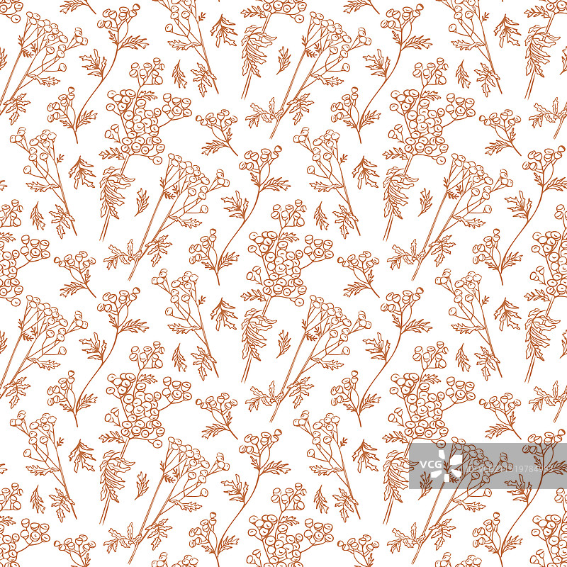 与涂鸦紫锥菊的柔和无缝图案图片素材