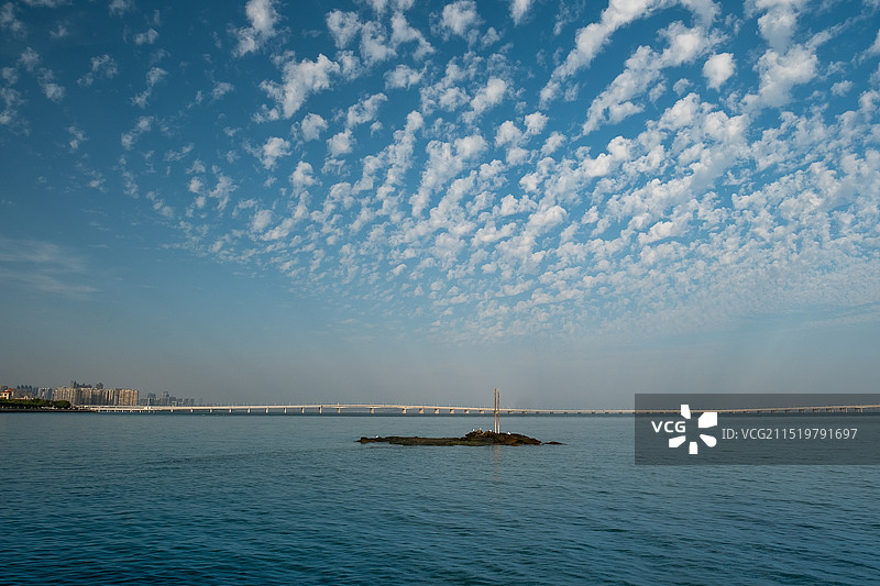 蓝天白云、蓝色大海、刺桐树、集美大桥、嘉庚公园风景图片素材