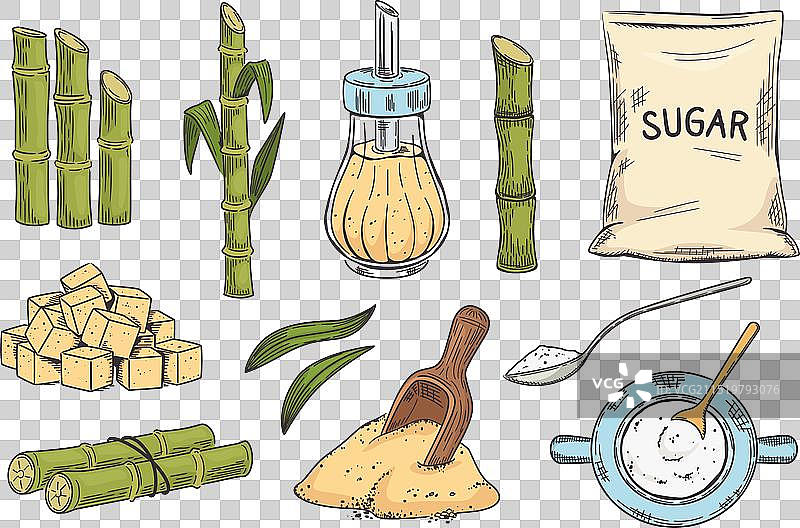 甘蔗和红糖素描图片素材