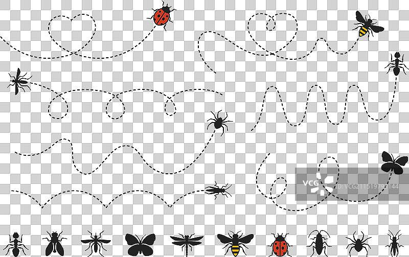 虚线昆虫路线蜜蜂蚊子和图片素材