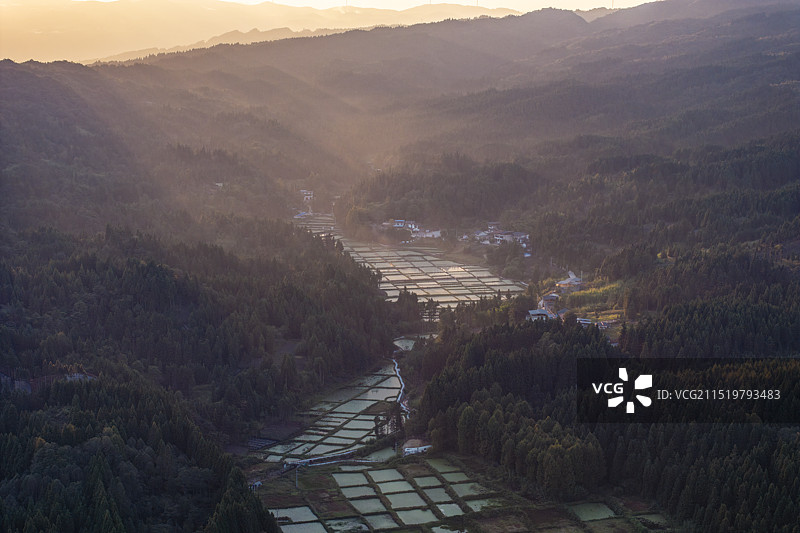 湖北利川福宝山水库夕阳里的莼菜基地图片素材