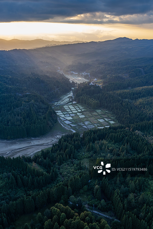 湖北利川福宝山水库夕阳里的莼菜基地图片素材