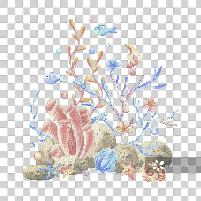 海珊瑚海藻贝壳海星鱼气泡图片素材