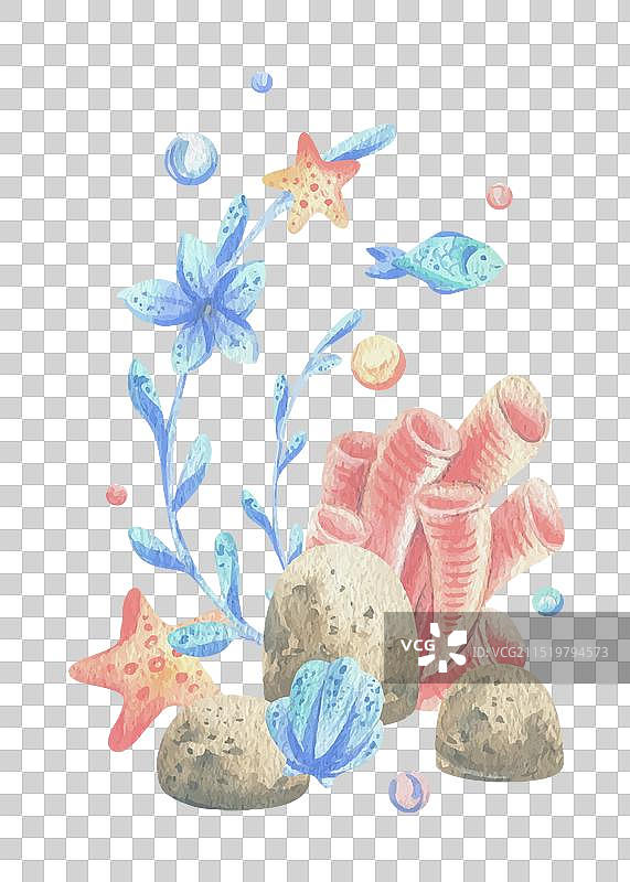 海珊瑚海藻贝壳海星鱼气泡图片素材