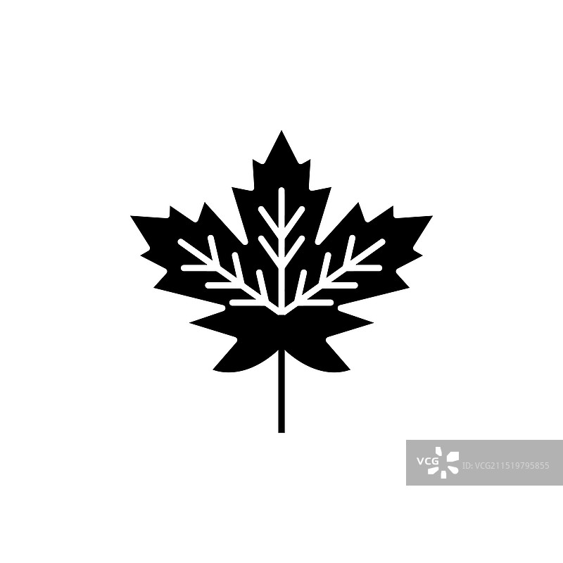 枫叶图标，白色背景图片素材