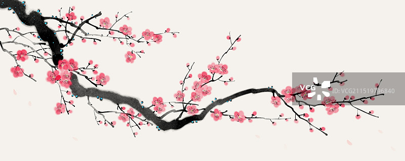 手绘中国画水墨画梅花装饰画图片素材