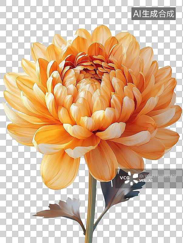 【AI数字艺术】梅兰竹菊等花卉元素图片素材