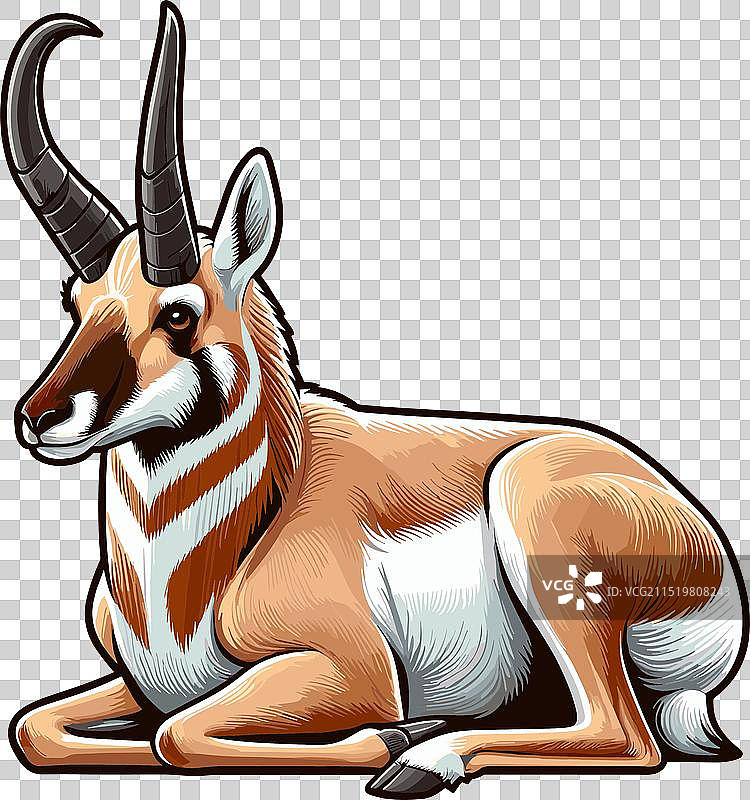 叉角羚站立侧视的颜色图片素材