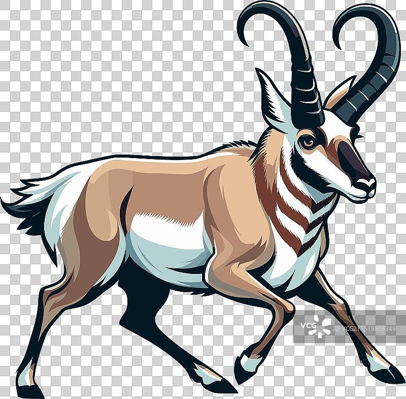 叉角羚站立侧视的颜色图片素材